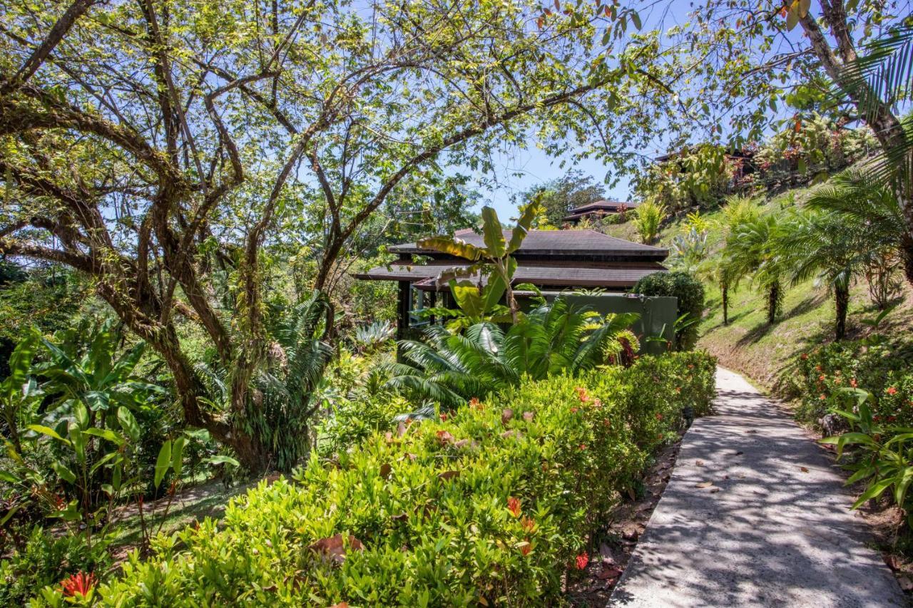 Tiki Villas Rainforest Lodge - Adults Only Uvita Exterior photo