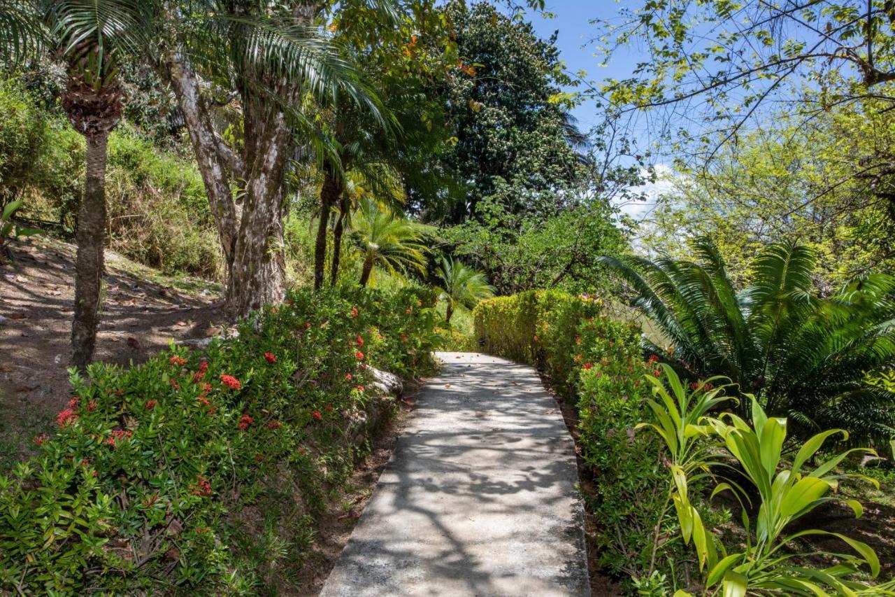 Tiki Villas Rainforest Lodge - Adults Only Uvita Exterior photo